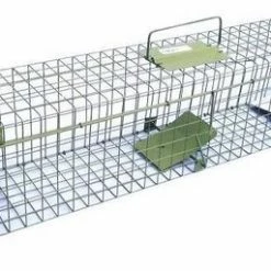 Beste Verkoop ๐ Zielona Lapka 2 Deurs Martervangkooi ๐ฅฐ