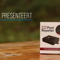 Brodit store -Brodit store 550x309 3