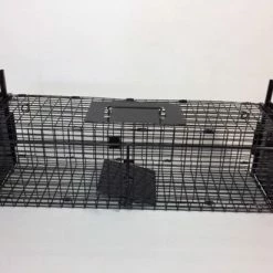 Beste deal ๐ AllesTegenOngedierte.nl Opvouwbare Martervangkooi 2 Deurs ๐ฏ