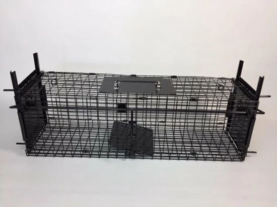 Beste deal π AllesTegenOngedierte.nl Opvouwbare Martervangkooi 2 Deurs π― 1 Beste deal π AllesTegenOngedierte.nl Opvouwbare Martervangkooi 2 Deurs π―