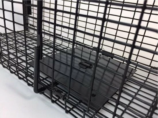 Beste deal π AllesTegenOngedierte.nl Opvouwbare Martervangkooi 2 Deurs π― 4 Beste deal π AllesTegenOngedierte.nl Opvouwbare Martervangkooi 2 Deurs π― - Afbeelding 4